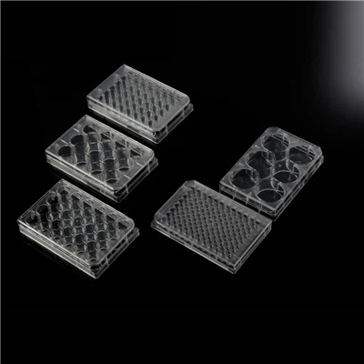 6well 12 Well 24 Well 48 Brunnen 96 Well Tissue Cell Kultur Platten