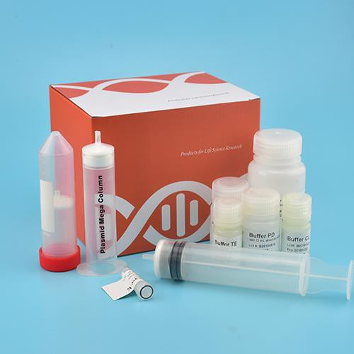 Animal Genomic DNA Kit (Spin Column)