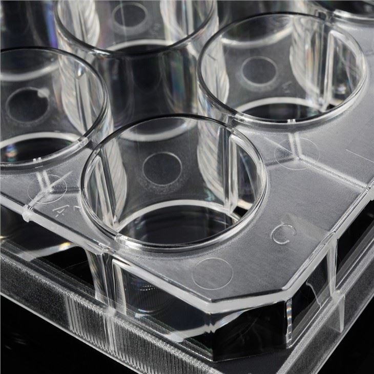 Transparent Ps Flat Bottom 12 Well Cell Culture Plate Disposable