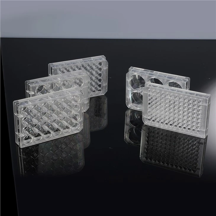 6/12/24/36/48/96-Well TC Treated Cell Culture Plates