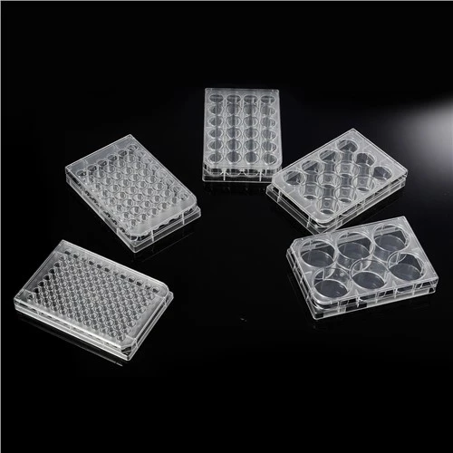 6/12/24/36/48/96-Well TC Treated Cell Culture Plates