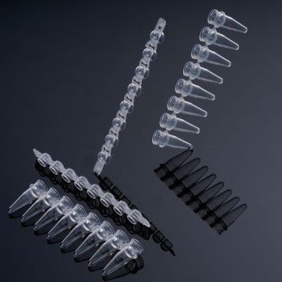 0,2 ml 8-Streifen-PCR-Röhrchen Flat-Top / Kuppelförmiges Design / Herstellung Hohe Qualität