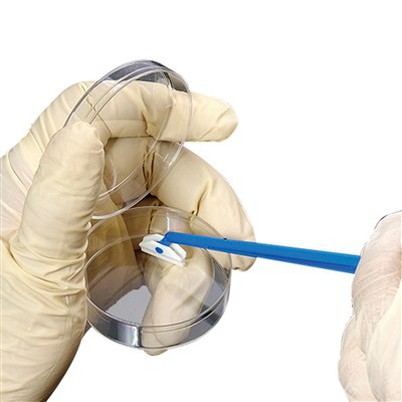 Cell Scraper Cell Lifters biologix